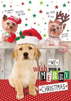 Humour Christmas Card