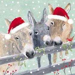 Humour Christmas Card - Donkeys