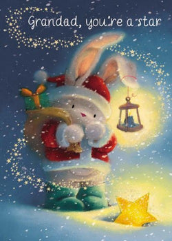 Grandad Christmas Card - Bebunni Fallen Star