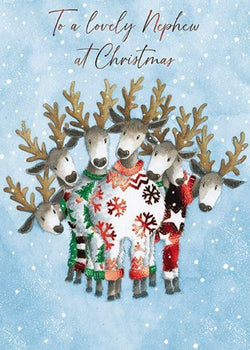 Nephew Christmas Card - Reindeer In Jumpers