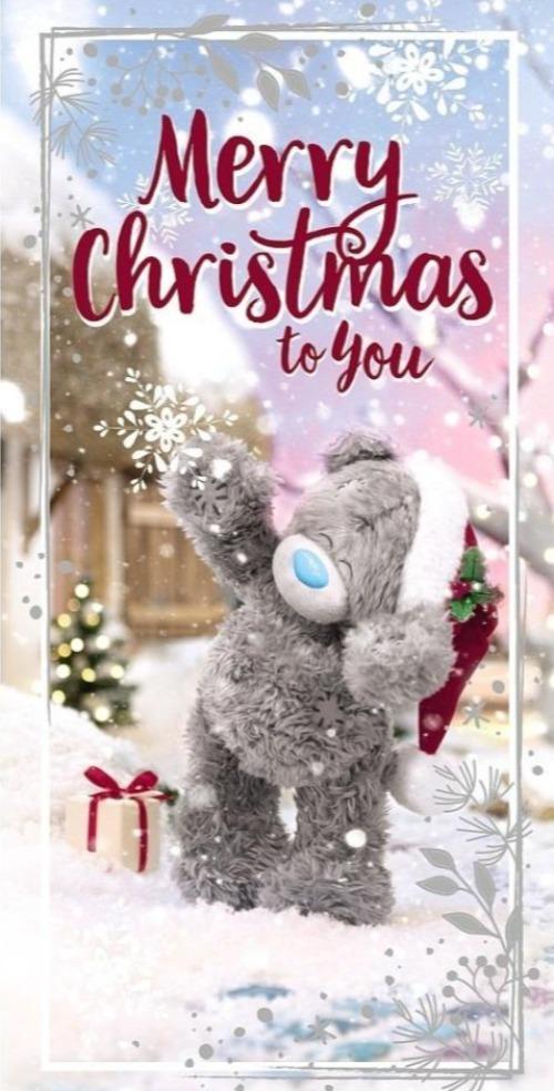 Money Wallet Christmas Card