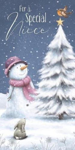 Niece Money Wallet Christmas Card