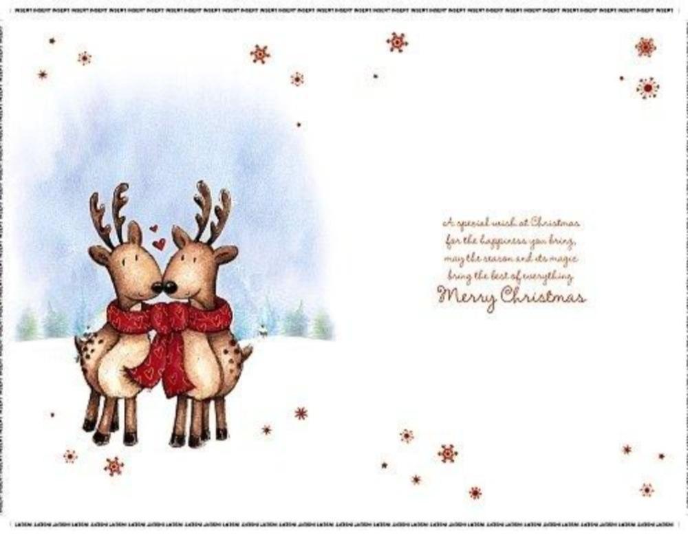 Brother And Sister In Law Christmas Card