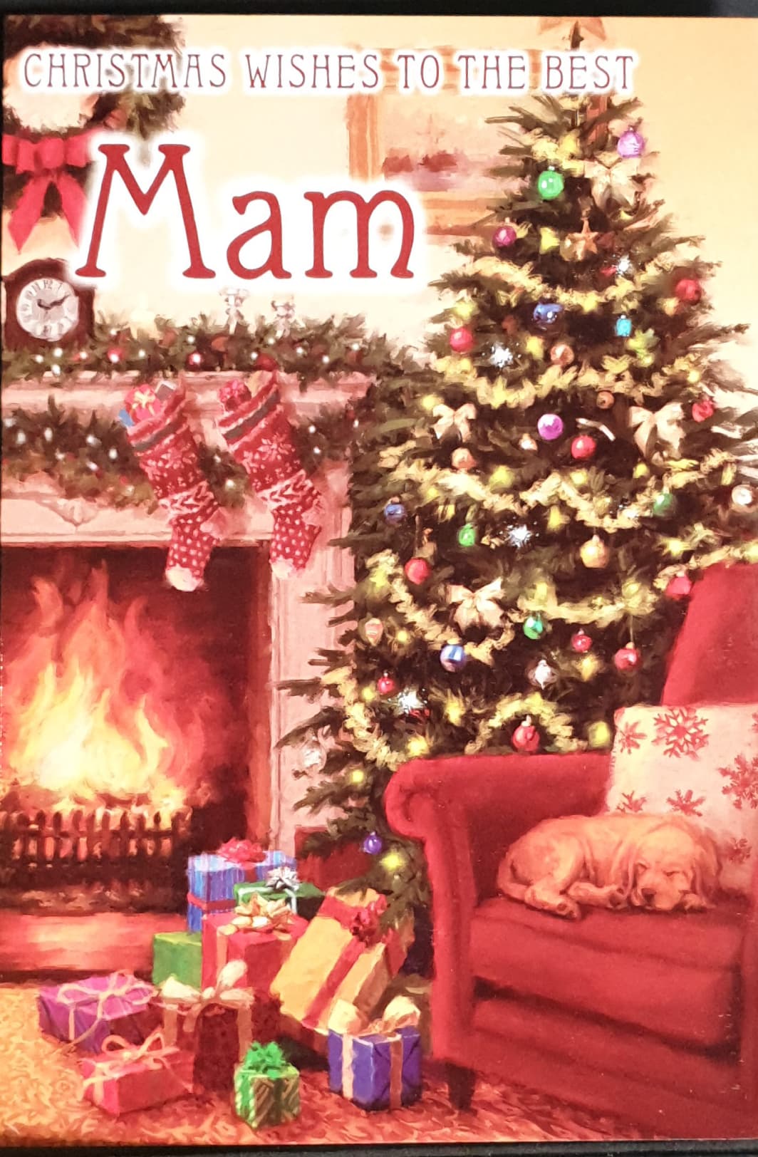 Mam Christmas Card - Brings warm and heartfelt thanks / Dog sleeping on the armchair