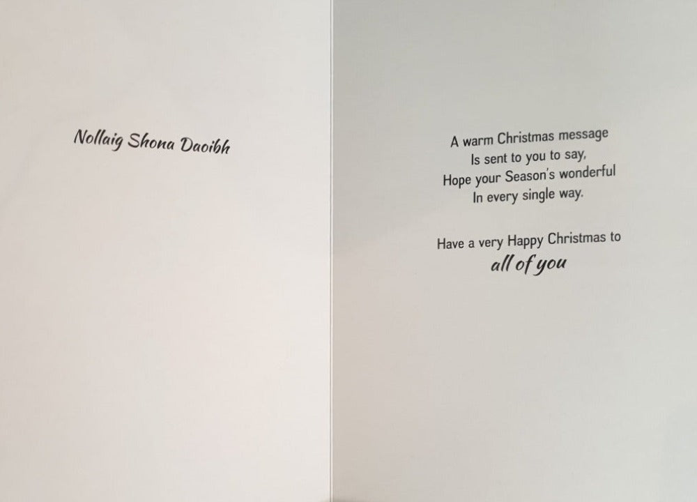 Brother, Sister In Law And Family Christmas Card 