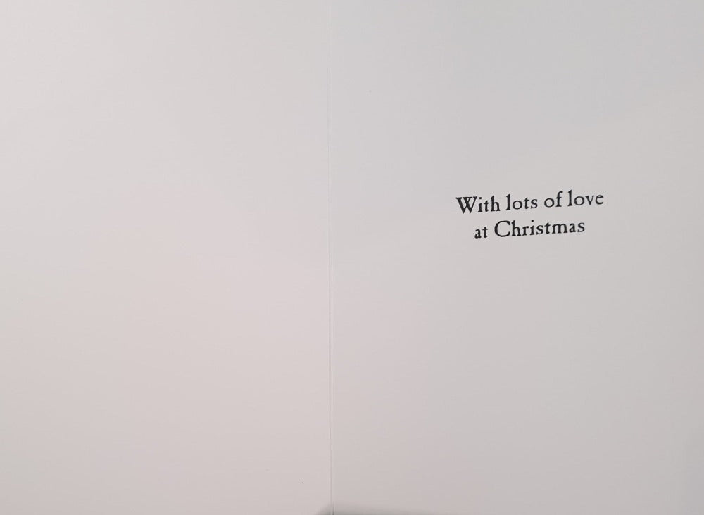 Son Christmas Card - Funny