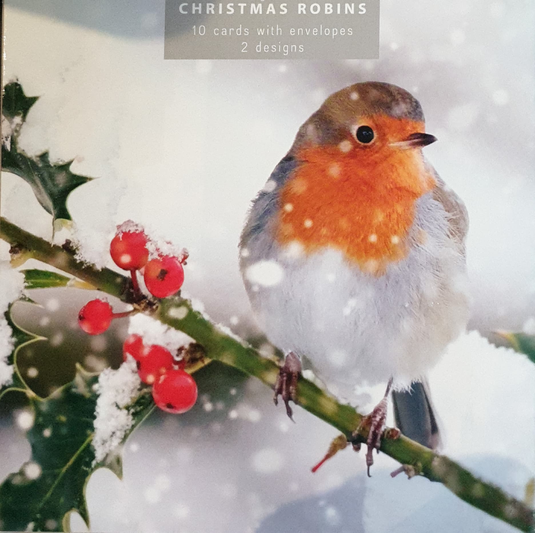 Charity Christmas Cards - 10 Cards with Envelopes / 2 Designs - Bird in the Snow