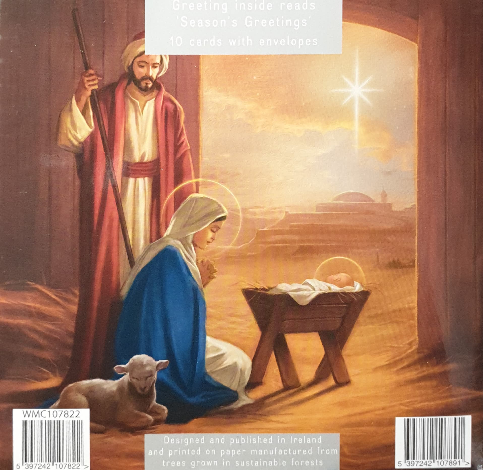 Charity Christmas Cards 10 Cards with Envelopes / 2 Designs - Christmas Nativity