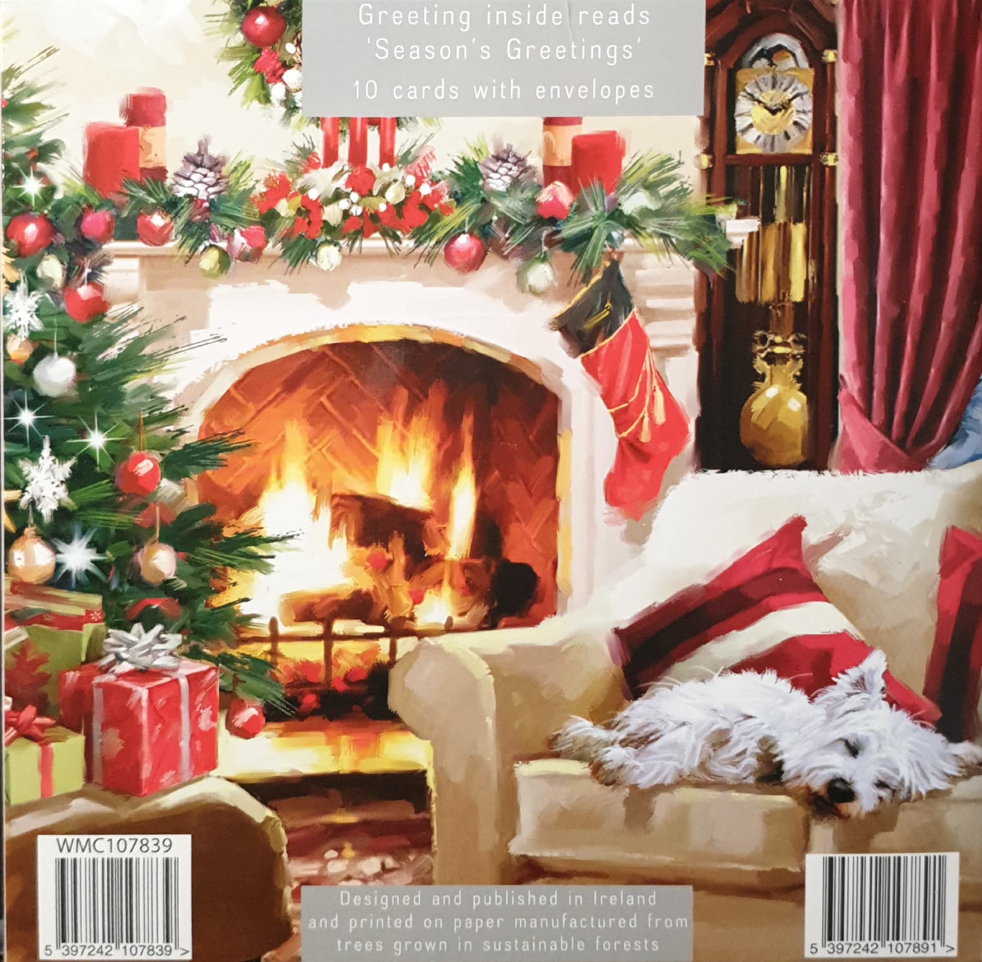 Charity Christmas Cards - 10 Cards with Envelopes / 2 Designs - Christmas Interior