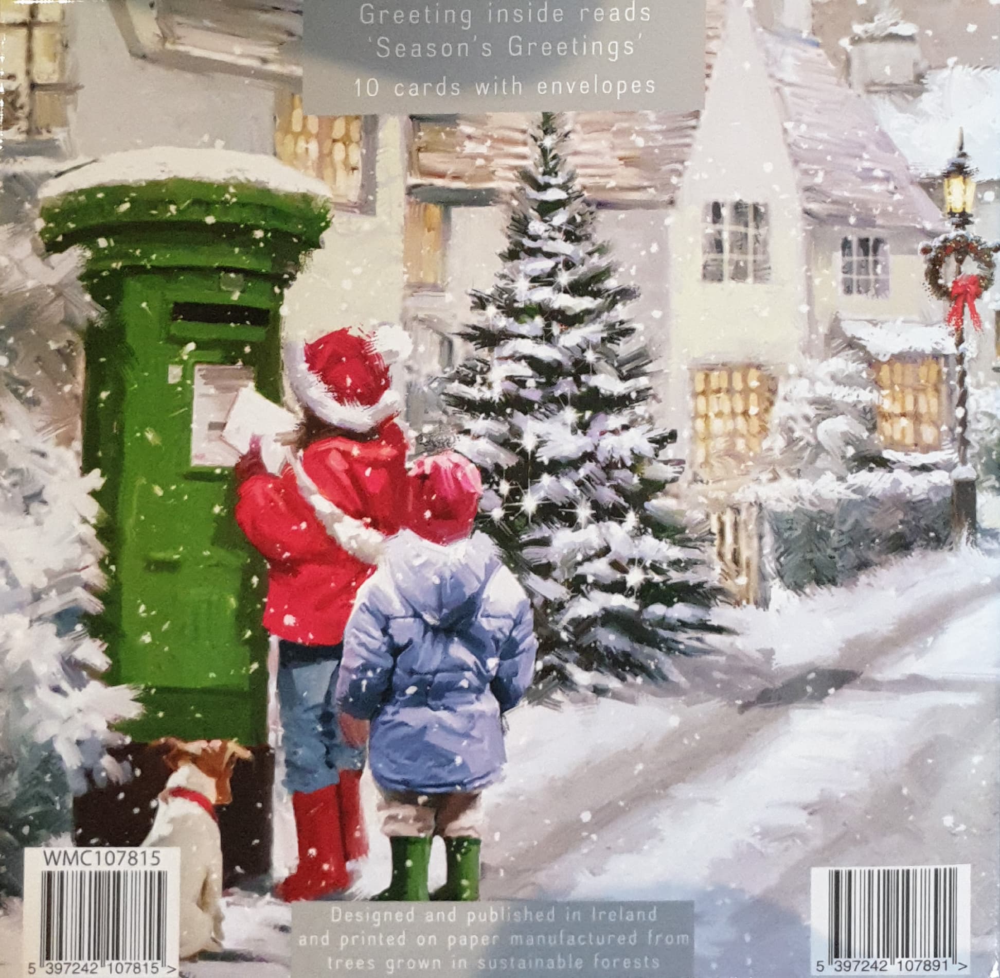 Charity Christmas Cards - 10 Cards with Envelopes / 2 Designs - An Irish Christmas