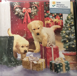 Charity Christmas Card (In Irish & English) - Pack of 8 Large Size / Irish Hospice Foundation - Dogs playing with Presents