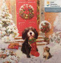 Charity Christmas Card (In Irish & English) - Pack of 8 Large Size / Irish Hospice Foundation - Dog and Cat in the Snow