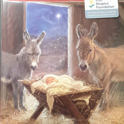 Charity Christmas Card (In Irish & English) - Pack of 8 Large Size / Irish Hospice Foundation - Baby and two donkeys