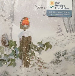 Bird on a chopped Tree