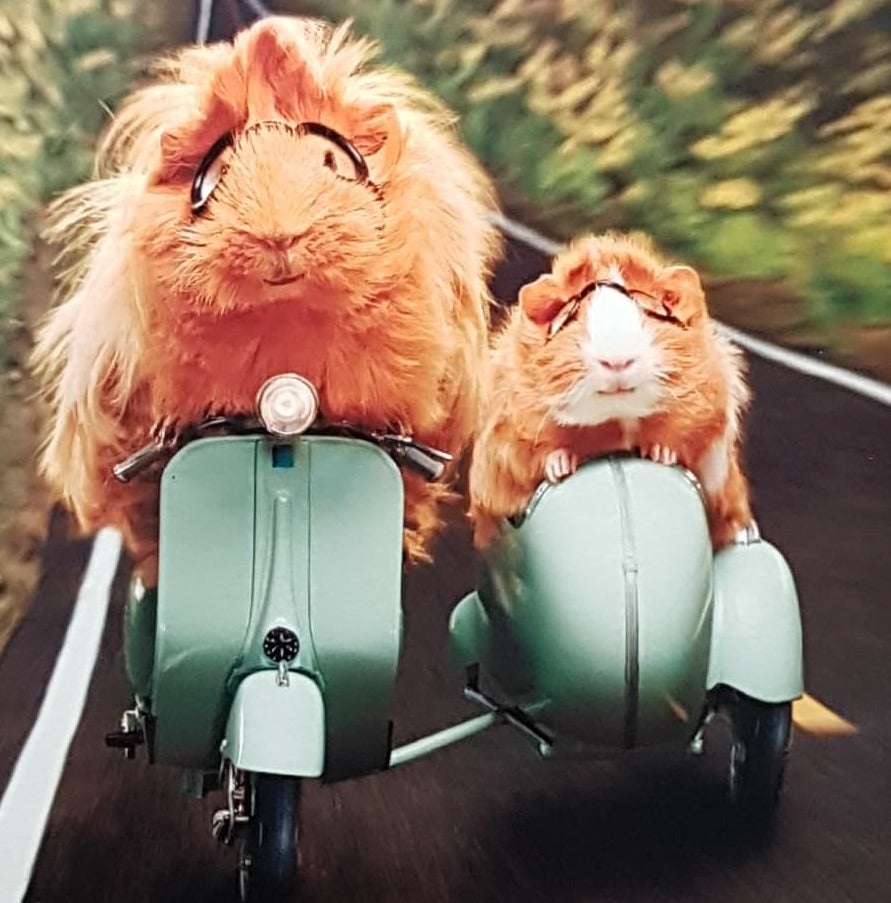 Blank Card - Two Hamsters In A Green Motorbike