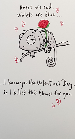 Humour Valentines Day Card