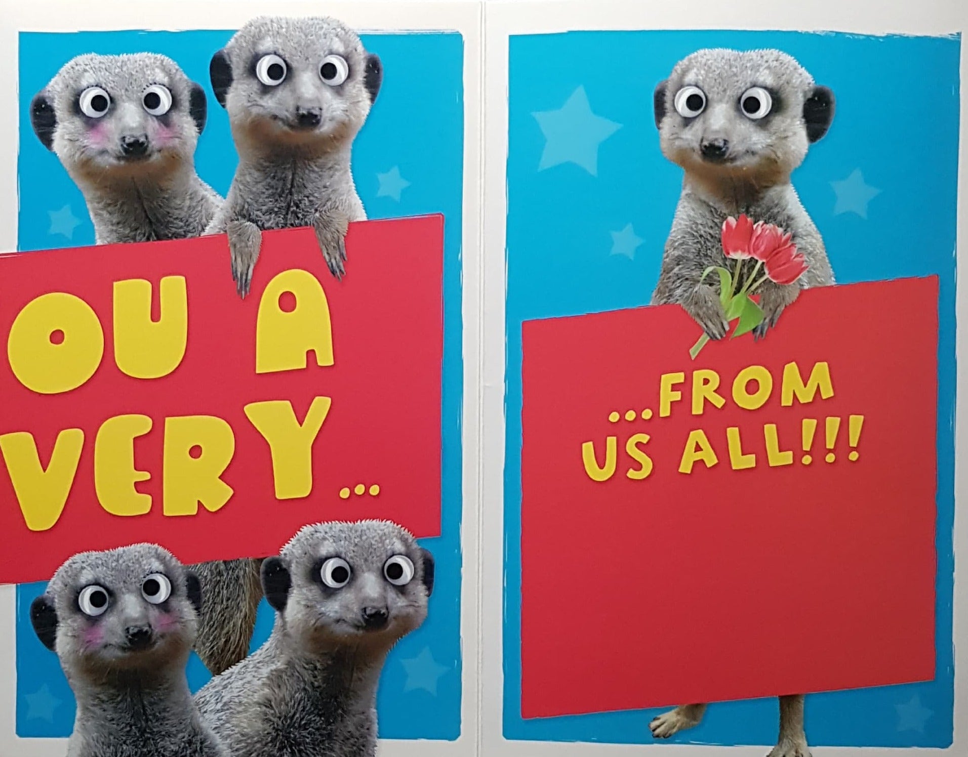 Get Well Card - Three Cute Meerkats & Red Stars