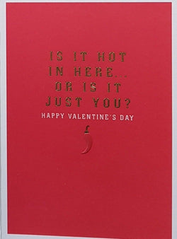 Humour Valentines Day Card