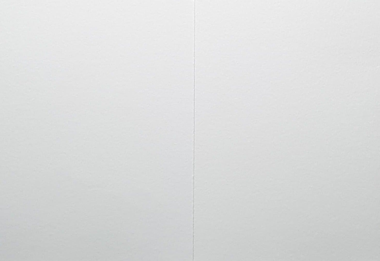 Blank Card - A Beautiful Pink Flower With A White Center