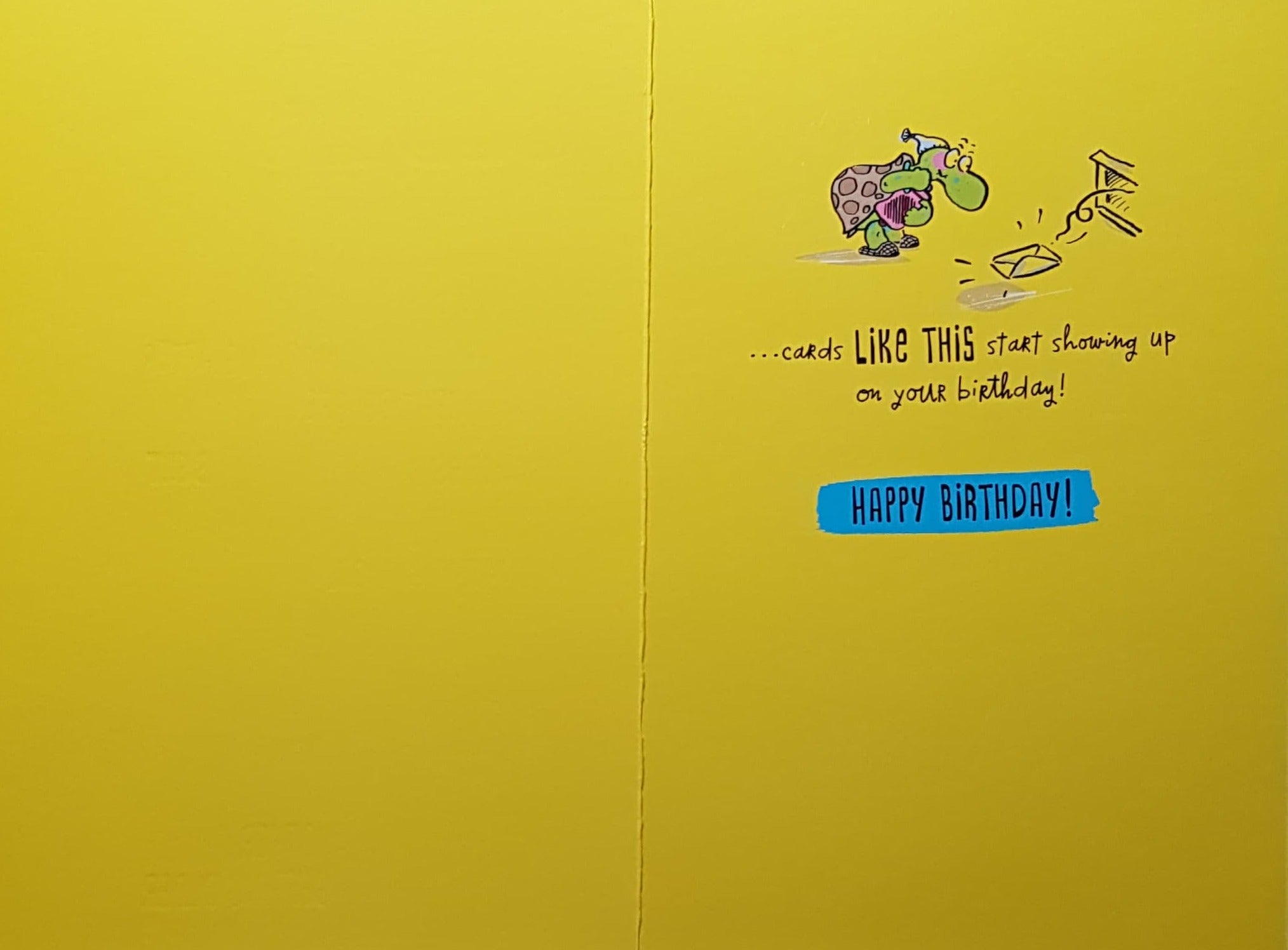 Birthday Card - Humour / You Know You're Getting Older... & A Turtle