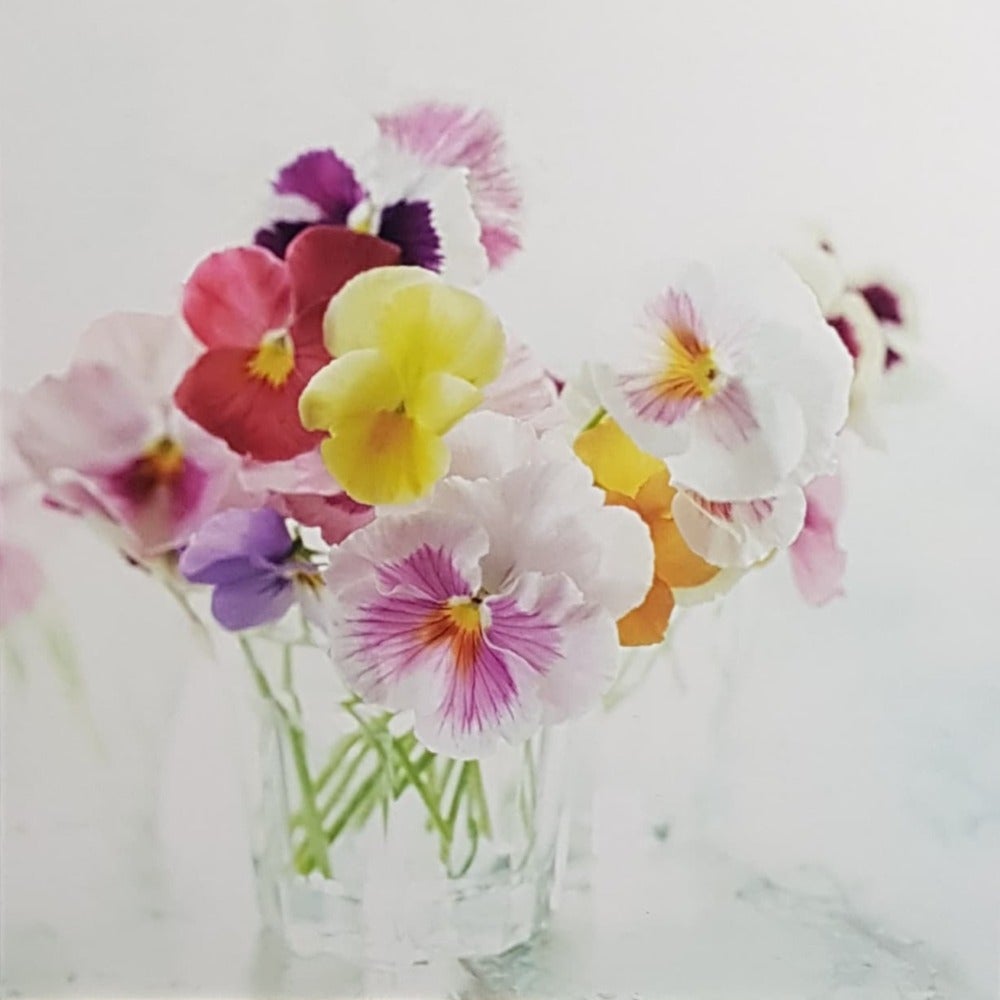 Blank Card - Meadow Flowers Painted