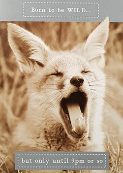 Birthday Card - Humour / 'Born To Be Wild...But Only After 9pm Or So'