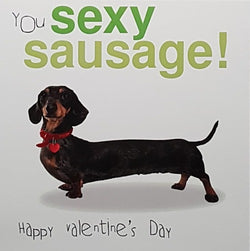 Humour Valentines Day Card