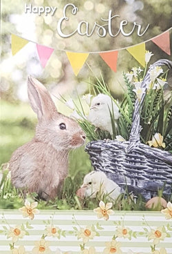 Easter Card - Traditional / A Lovely Bunny Near A Bsket Of Daffodils