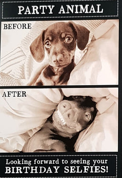 Birthday Card - General Humour / A Dog Taking Birthday Selfies