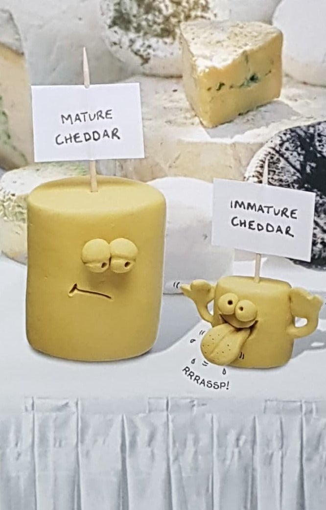 Birthday Card - Humour / Two Funny Cheddar Cheeses On A White Table