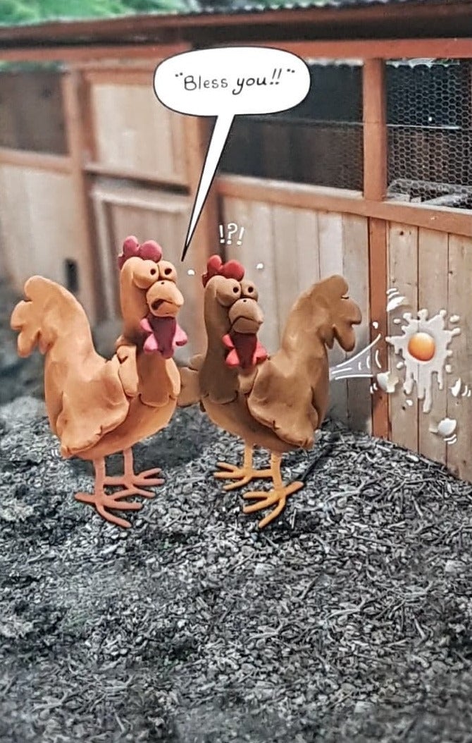 Birthday Card - Humour / Two Surprised Hens & An Egg
