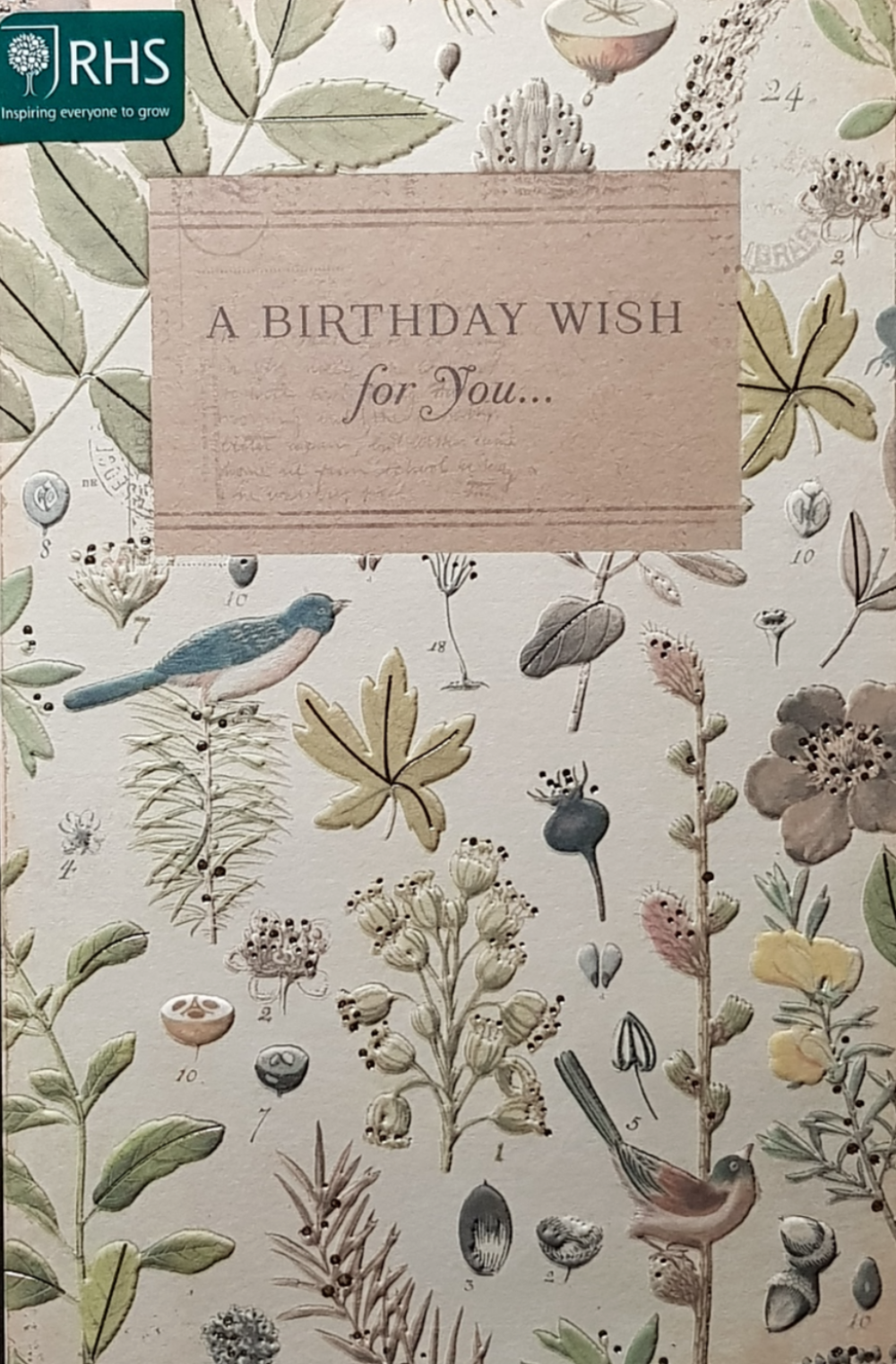 Birthday Card - General / A Birthday Wish - Plants And Birds