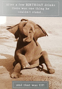 Birthday Card - Humour / 'After A Few Birthday Drinks...'