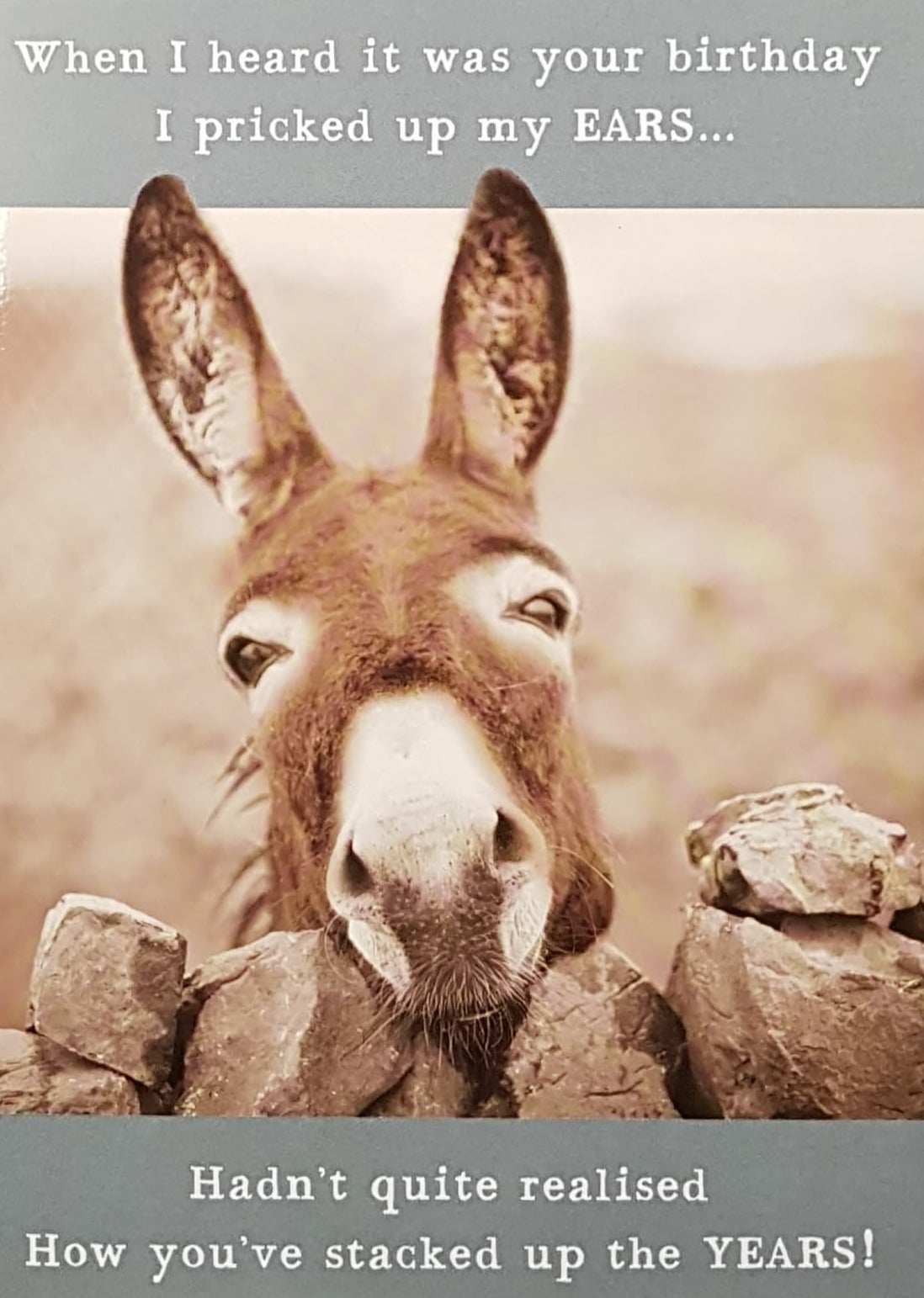 Birthday Card - Humour / Donkey With Ears Perked Up