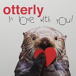 Humour Valentines Day Card