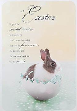 Easter Card - A Bunny Rabbit Inside Hatched Egg