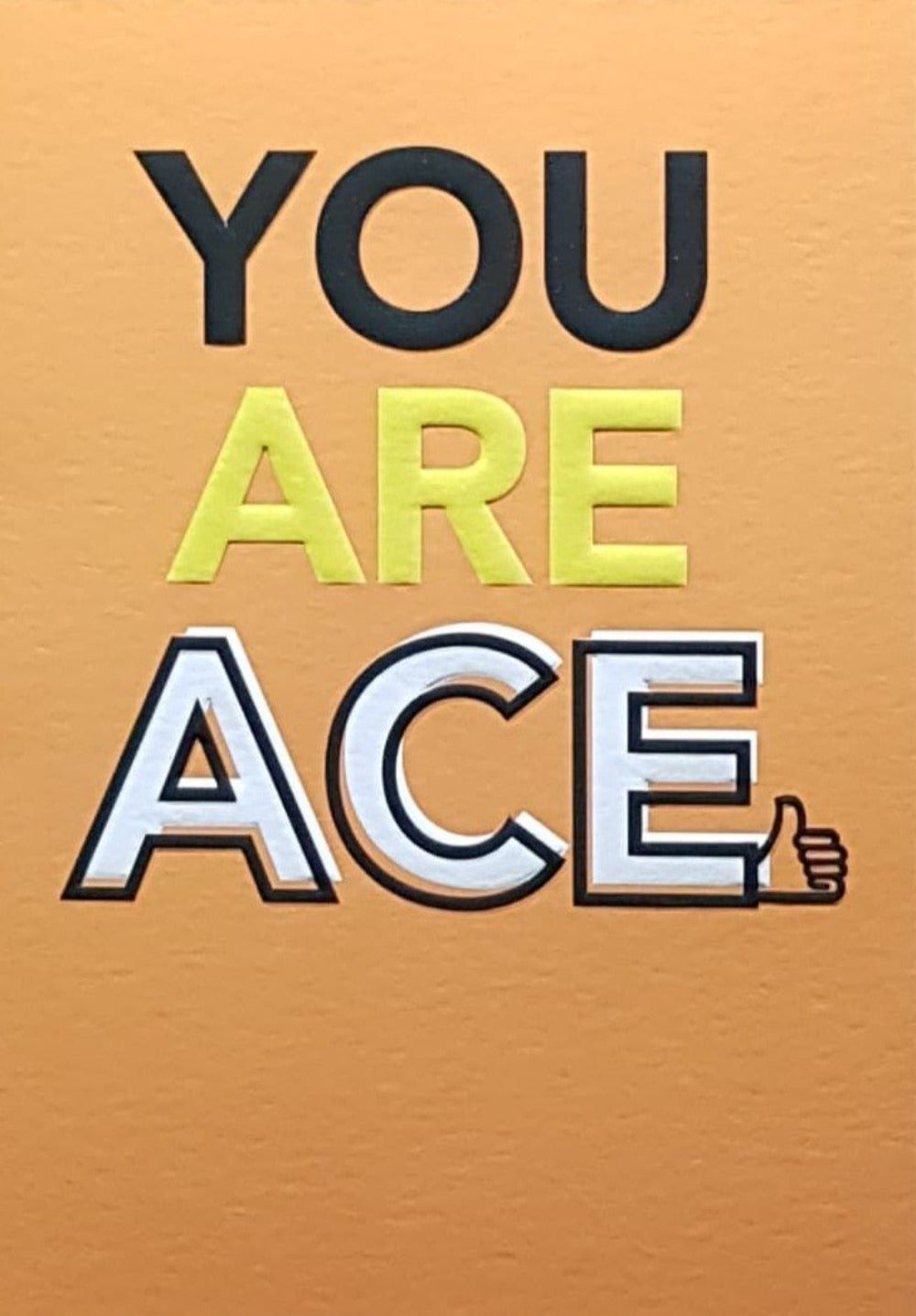 Blank Card - You Are Ace & Thumbs Up