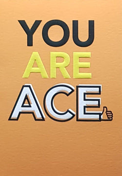Blank Card - You Are Ace & Thumbs Up