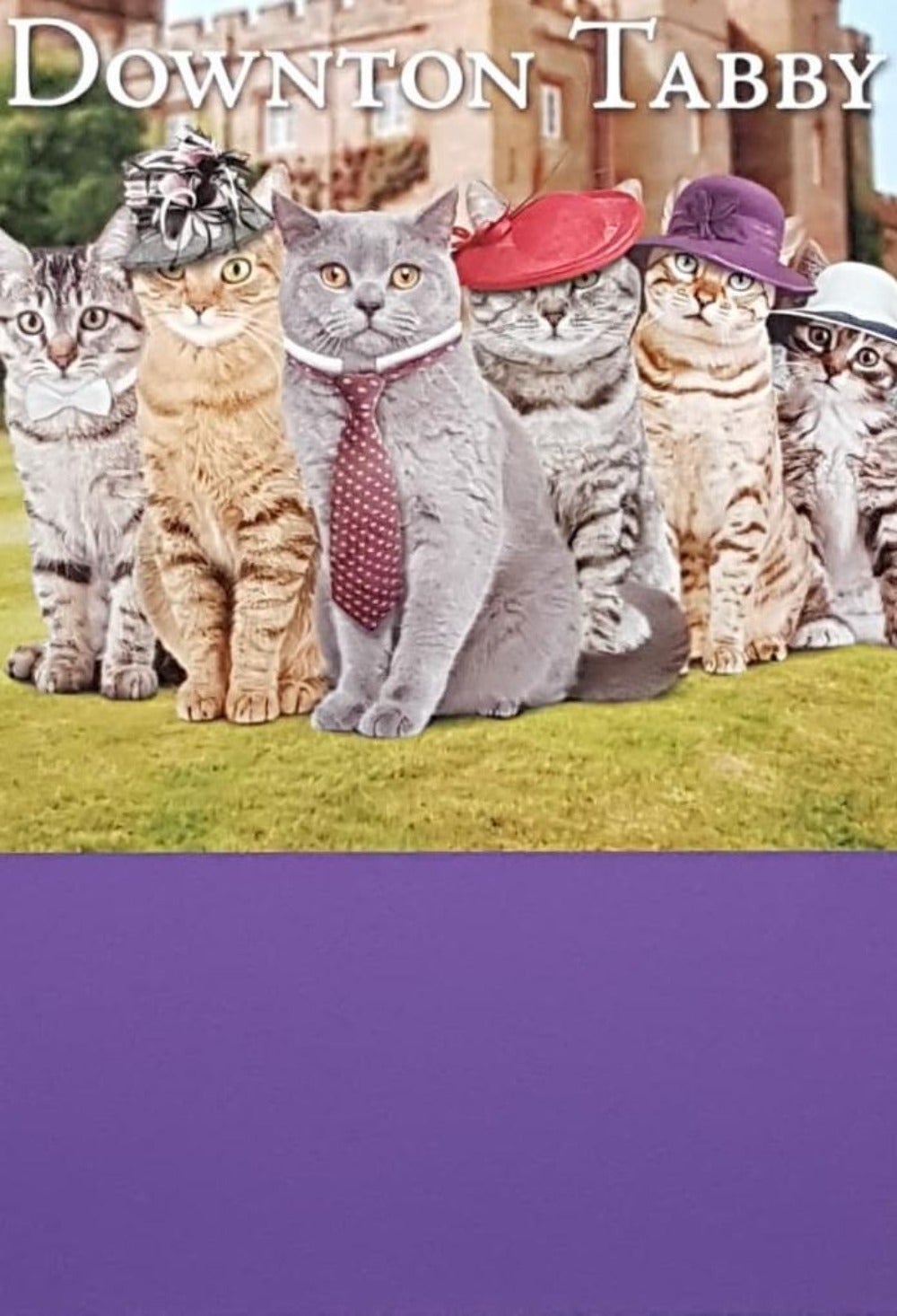 Birthday Card - Humour / Six Cats In Elegant Hats & A Tie