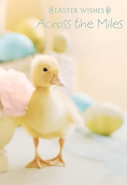 Easter Card - Across The Miles / A Cute Yellow Chick & Eggs In A Background