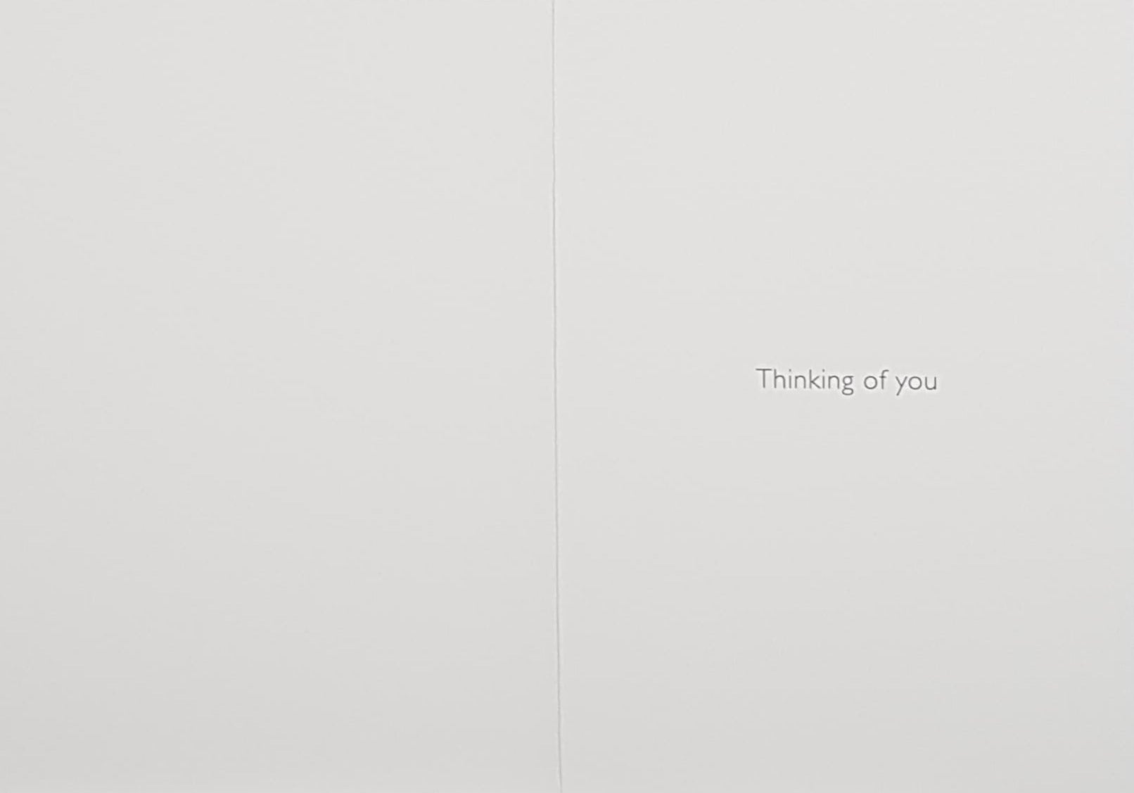 Sympathy Card - A White Flower & A Blue Background