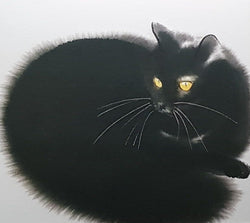 Blank Card - A Black Cat With Yellow Eyes