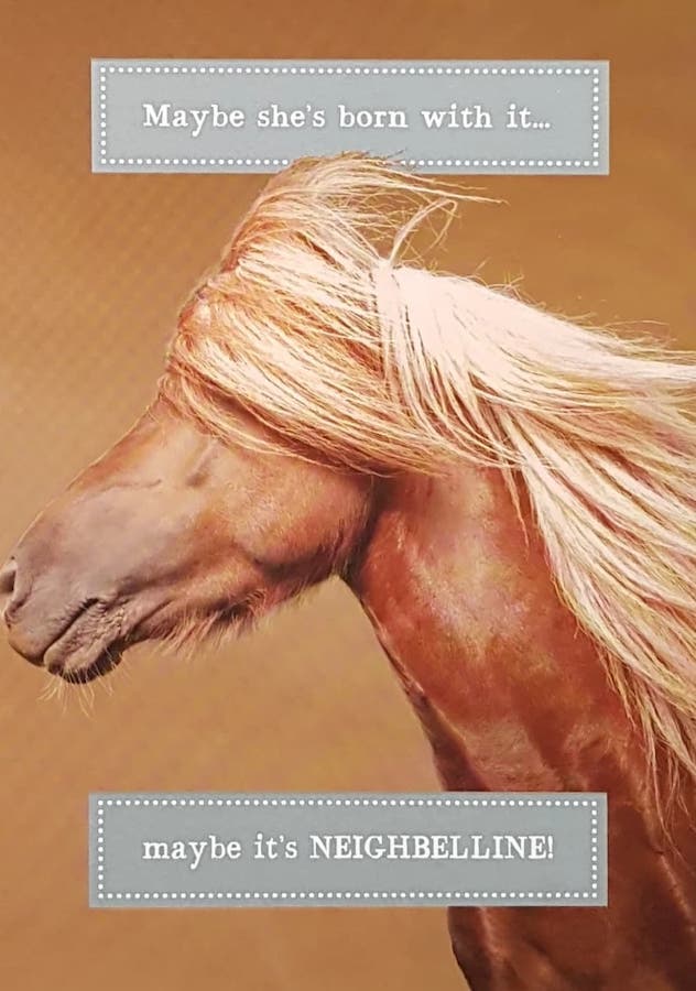 Birthday Card - Humour / A Horse With Flowing Mane