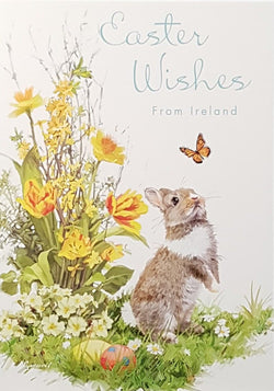 Easter Card - From Ireland / A Lovely Bunny Looking At A Butterfly