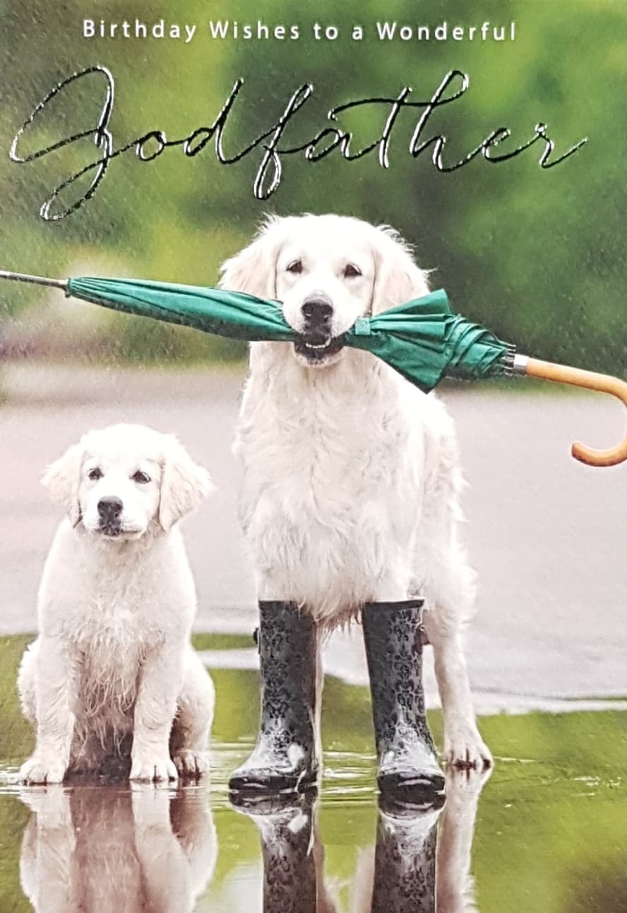 Birthday Card - Godfather / A White Dog Holding A Green Umbrella