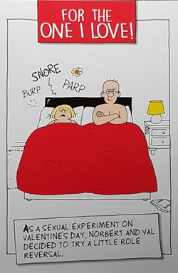 Humour Valentines Day Card