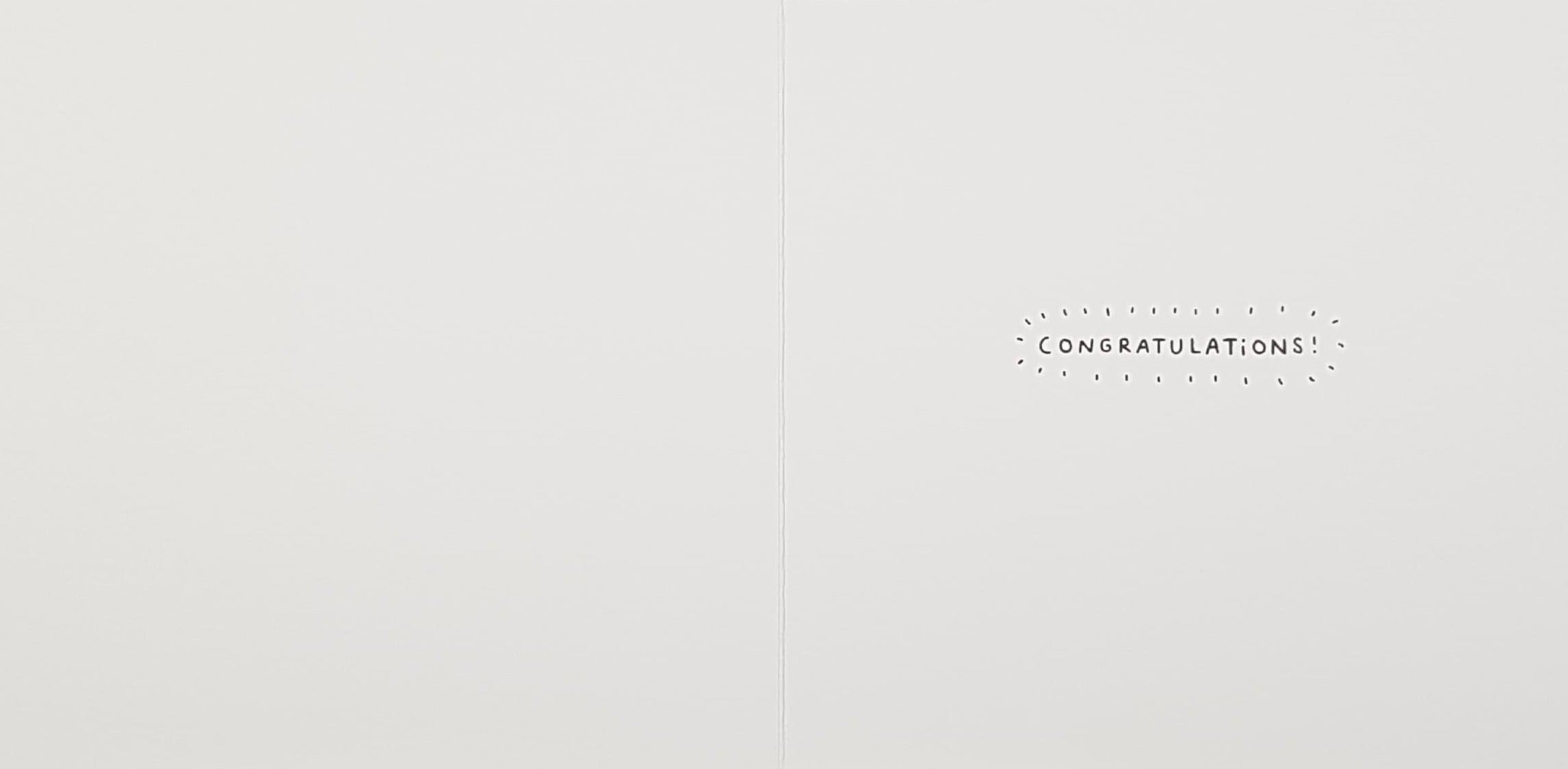 New Baby Card - Twins / 'Little Bundles Of Love'