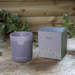 Natural Wax Candle - Dublin Herb / Lavender