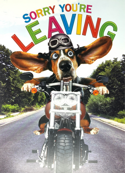 Sorry You’re Leaving Card - A Crazy Dog On The Road ( Large - A4 Size )