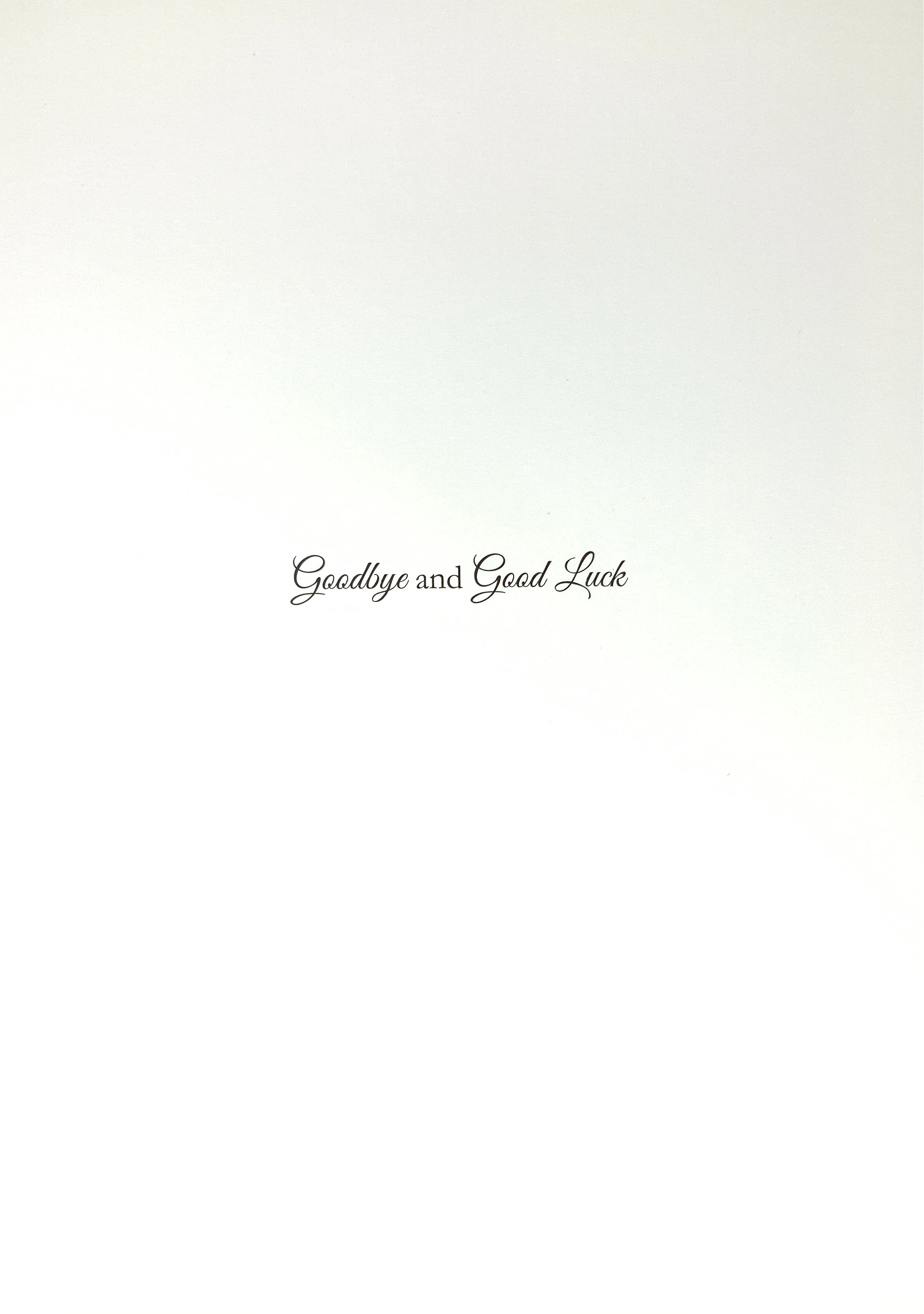 Sorry You’re Leaving Card - Meerkats & A Parachute ( Large - A4 Size )